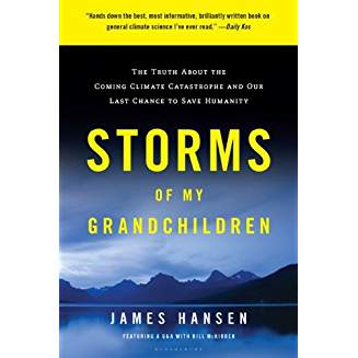 Storms of my Grandchildren by Hansen
